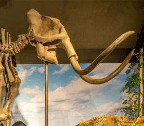 Museum Klok & Peel